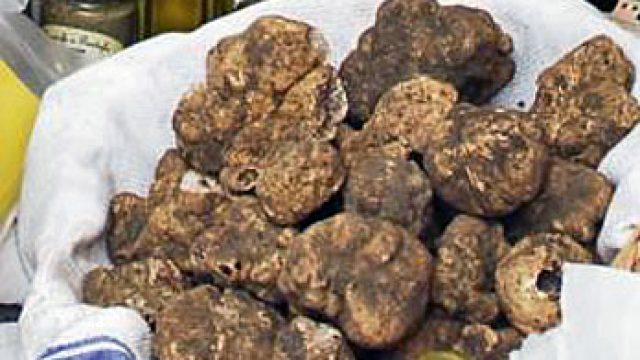 Sant’Ermete festa dell’Agraria 26-27-28-29 Agosto 2016 – Blera (VT)