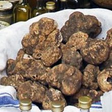 Sant’Ermete festa dell’Agraria 26-27-28-29 Agosto 2016 – Blera (VT)